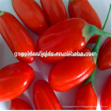 Chine fournisseur prix ningxia séché biologique goji berry